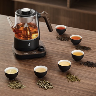 煮茶器喷淋式 全自动烧茶壶家用冷萃煮茶一体黑茶蒸汽煮茶壶