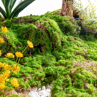 仿真绿植苔藓青苔块草坪微景观人造草皮装 饰假植物橱窗阳台造景
