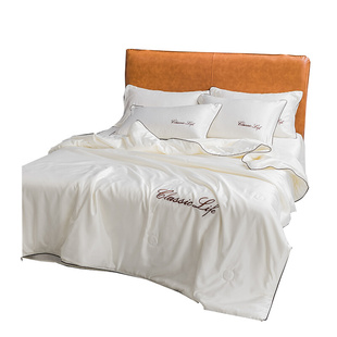 冰丝夏凉被四件套纯色床单被套丝滑柔软裸睡床笠款 高级感床上用品