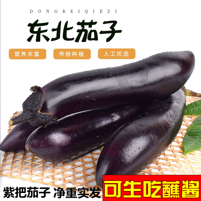 东北紫把茄子黑裤 可生吃蘸酱长线大茄子农家自种新鲜蔬菜做蒜茄子