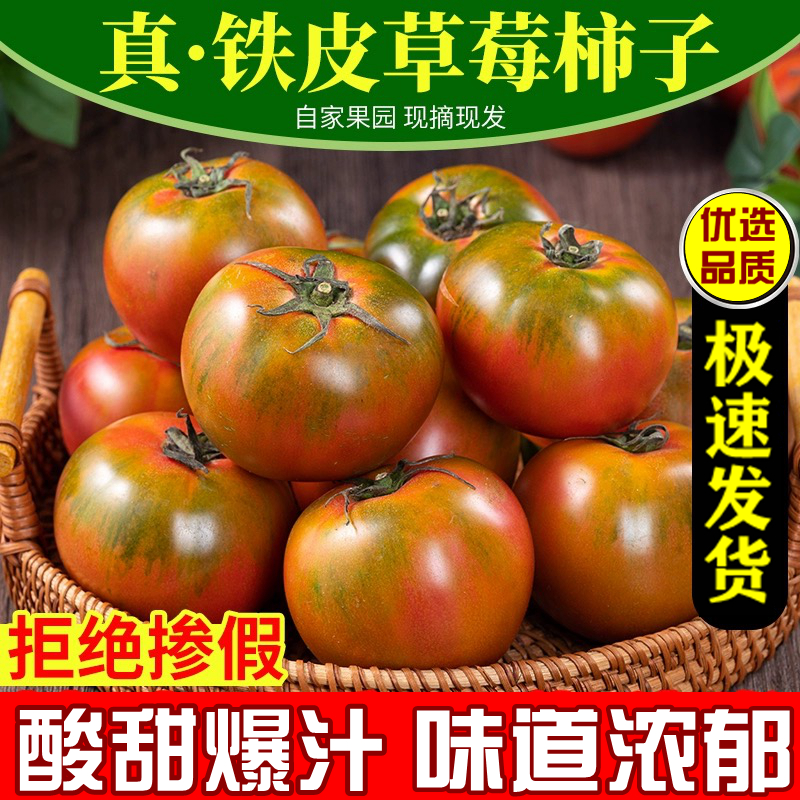 正宗铁皮草莓柿子油柿子丹东碱地柿子绿腚可生吃番茄5斤装 西红柿