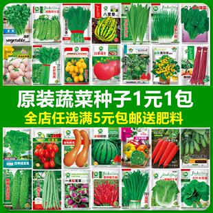 叶菜青菜快菜小白菜生菜种籽子孑蔬菜种子大全四季 阳台盆栽菜籽种