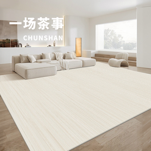 客厅地毯卧室床边2024新款 防水免洗可擦免打理沙发茶几轻奢高级感