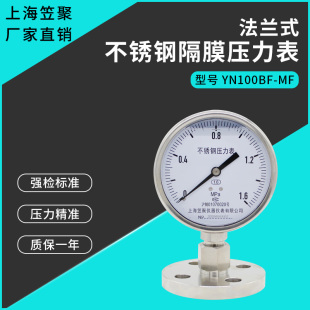 法兰式 不锈钢耐震隔膜压力表YN100BF 上海笠聚 1.6MPa 耐腐蚀