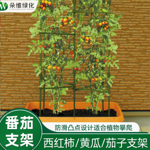 番茄架子爬藤架蔬菜架杆种菜支撑盆栽庭院固定西红柿黄瓜种菜支架