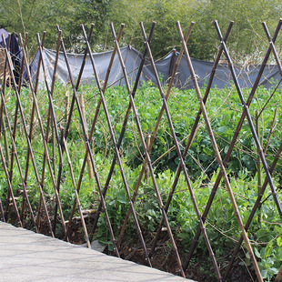 户外伸缩篱笆栅栏围墙护栏花园菜园搭架装 饰爬藤架竹拉网庭院竹竿