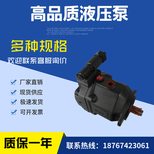 22变量液压泵AR22 FR01B 日本YUKEN油研柱塞泵AR16 22原装 FR01C