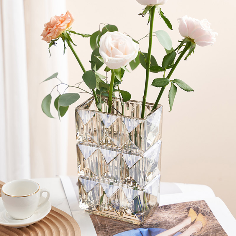 玻璃花瓶高级感客厅民宿样板间桌面装 饰摆件方形卧室居家创意插花