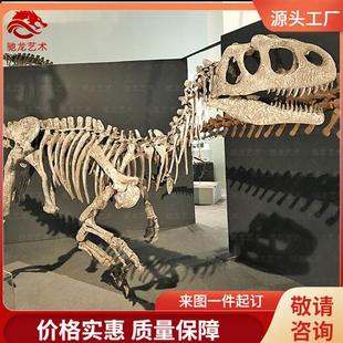 仿真单脊龙化石长.米恐龙玻璃钢骨架博物馆展览