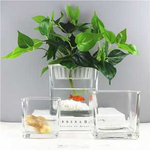 包邮 小清新正方形水培器皿植物花盆玻璃花瓶透明方缸绿萝睡莲鱼缸
