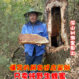野生蜂蜜纯正天然农家自产百花原蜜结晶老巢新货土蜂蜜500克