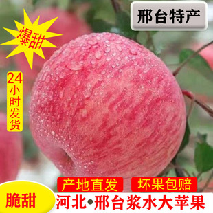 新鲜现摘浆水红富士苹果河北邢台特产当季 农家水果10斤整箱 包邮