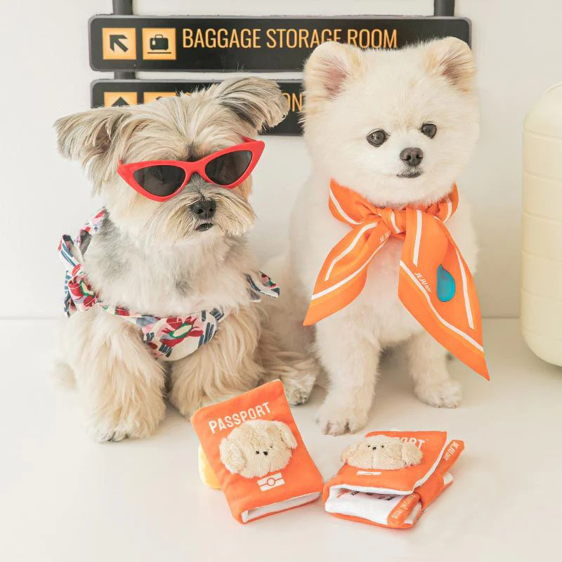 ins新款 韩国卡通宠物护照机票玩具发声藏食嗅闻毛绒玩具宠物用品