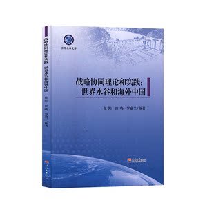 世界水谷和海外中国 张阳 战略协同理论和实践 社 书籍 河海大学出版