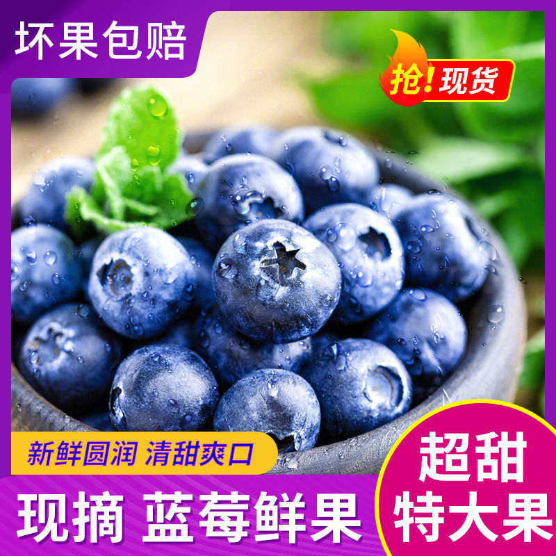 云南有机蓝莓鲜果大果新鲜当季 时令水果整箱蓝莓现摘先发顺丰 包邮