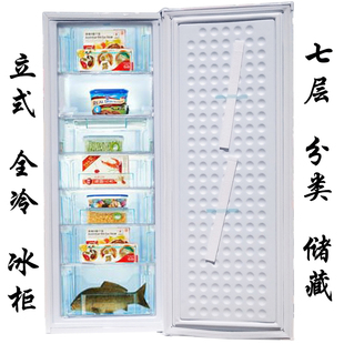 全冷冻风冷无霜变频小型立式 冰柜商用速冻冷柜 冰柜家用抽屉式