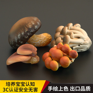 菌菇野蘑菇真菌 早教认知礼品 实心儿童仿真菌类玩具蘑菇模型套装