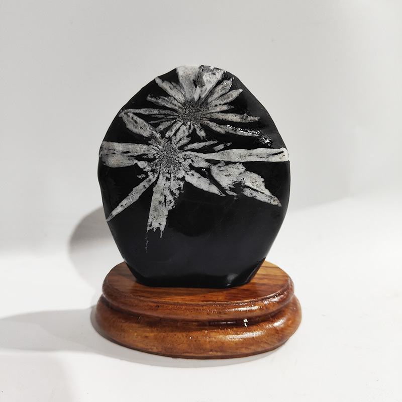 漂亮天然黑色菊花石雕奇石观赏石原石材料桌面新中式 摆放日常送礼