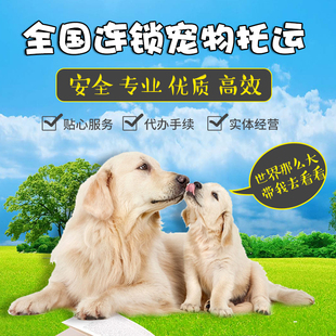 全国宠物托运代办狗狗猫咪托运广州上海北京托运飞机航空运输手续