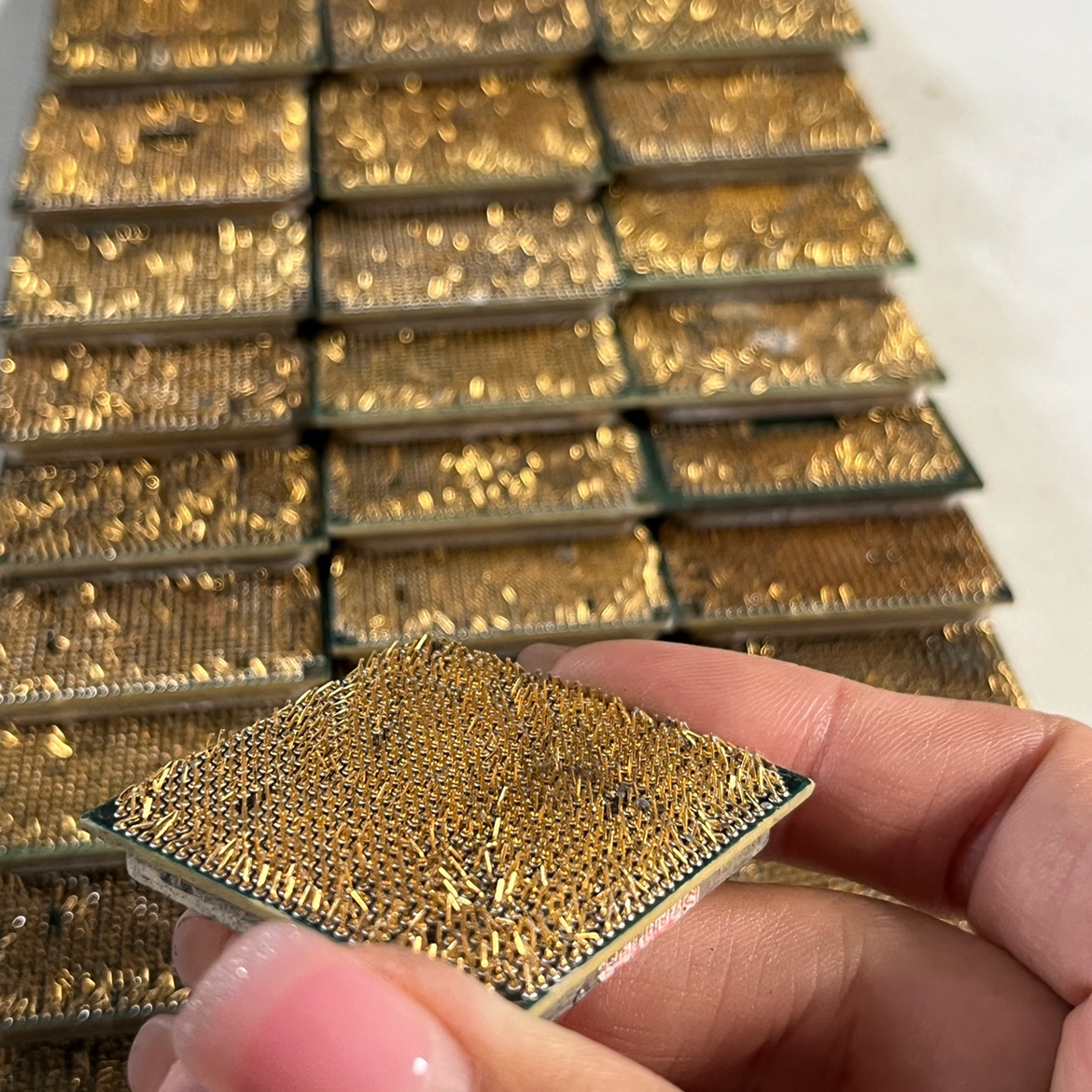 AMD电脑CPU提金炼金电子镀金废料黄金提炼材料废旧cpu洗金脱金