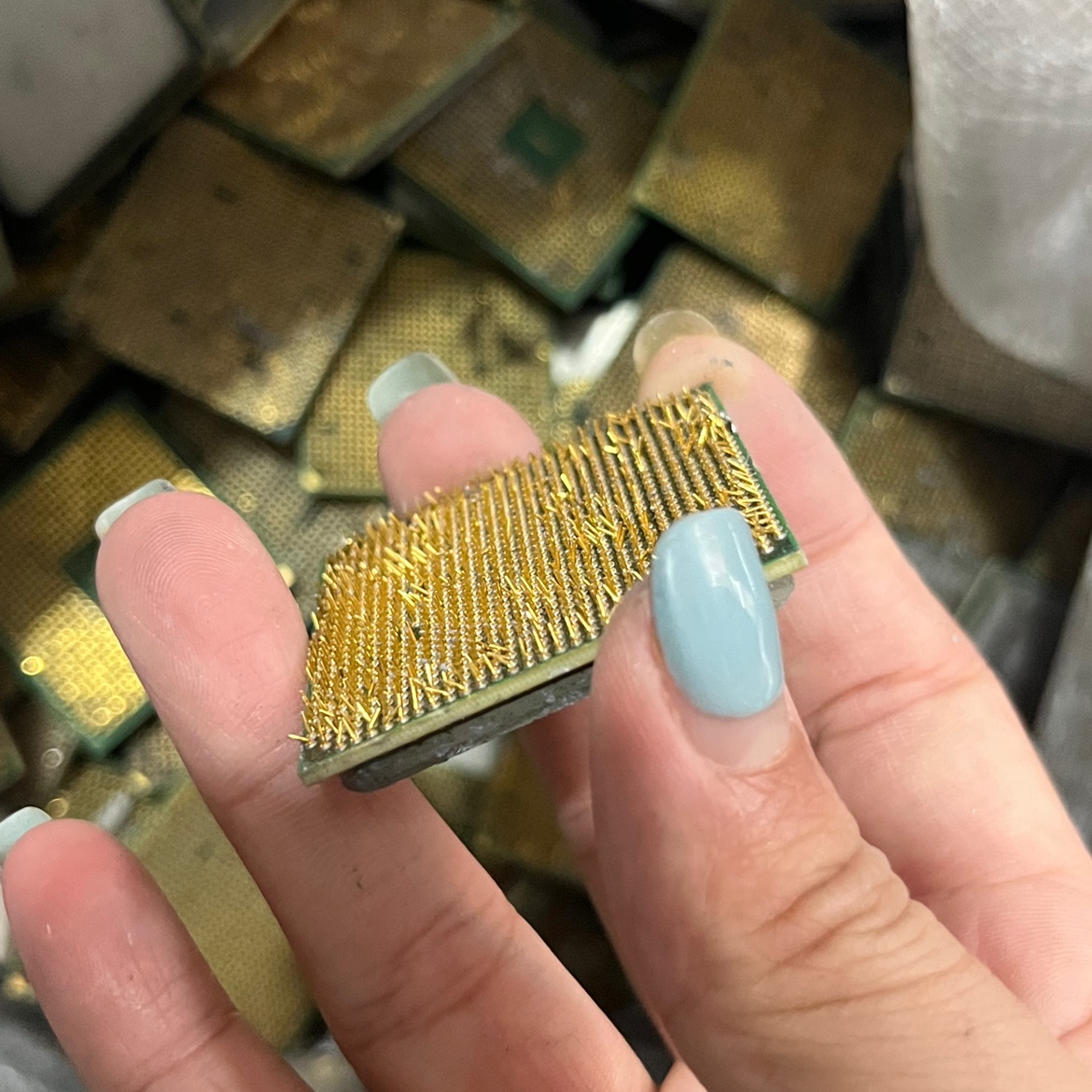 电脑CPU针电子镀金废料洗金炼金用品AMD满脚针cpu黄金提炼材料