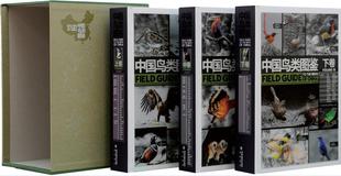 中国鸟类图鉴上中下全3册 套装 中国鸟类野外观察手册海峡书局出版 社