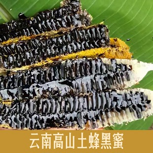 野生土蜂蜜树洞成熟天然中药材米团花黑蜜 云南高山黑蜜 米团花蜜