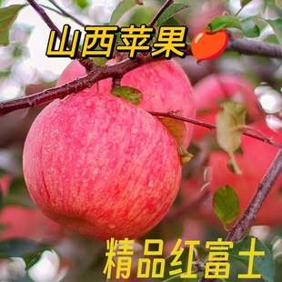 山西红富士苹果临猗水果新鲜当季 红富士大果带皮脆甜可口10斤 包邮