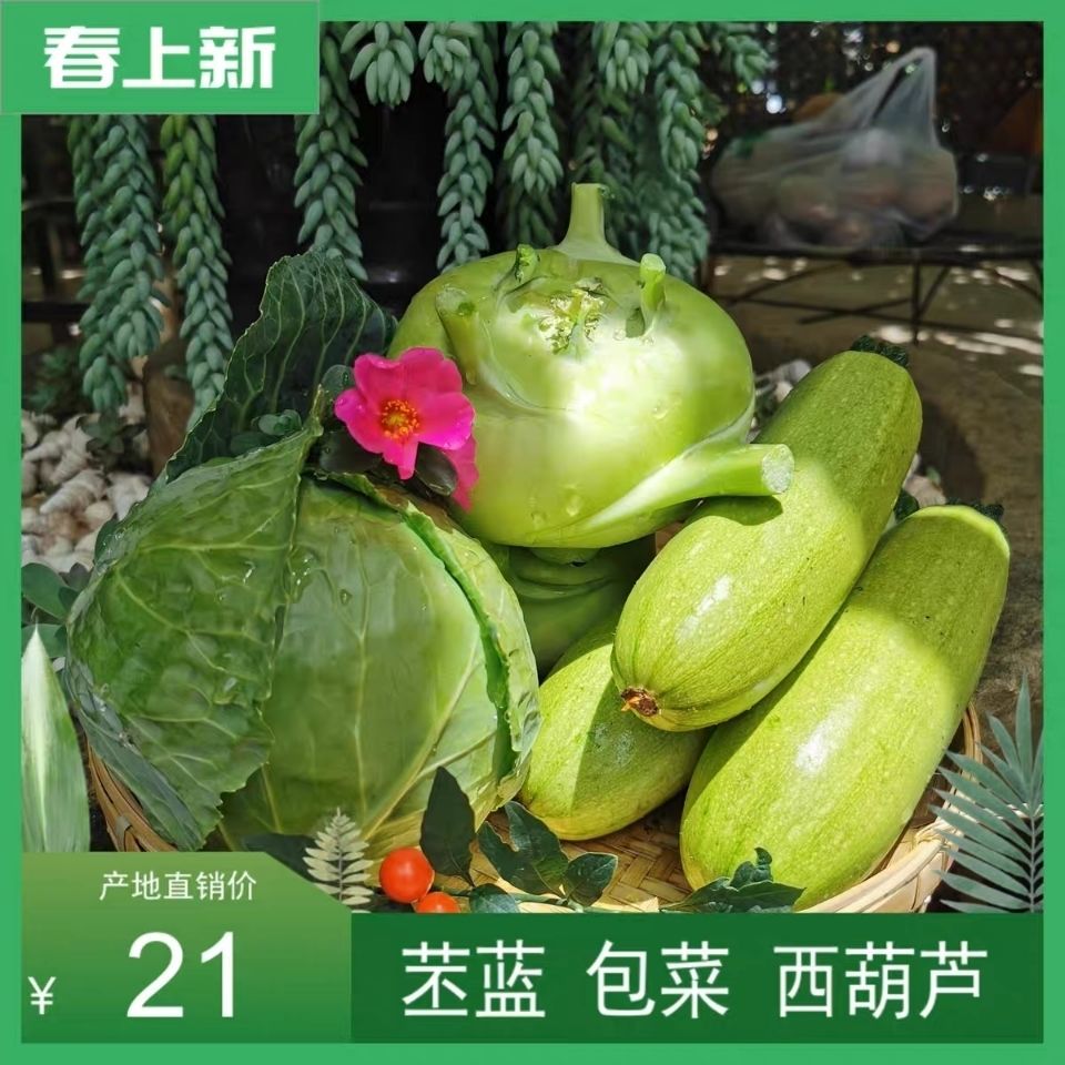 云南省农家自种精品新鲜蔬菜组合大头菜西葫芦卷心菜甘蓝菜现摘