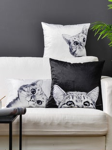 黑白猫绒布抱枕套客厅沙发抱枕靠垫办公室腰垫靠枕床头飘窗大靠背