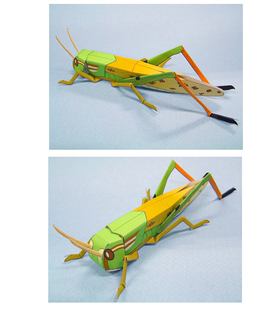 仿真昆虫蚱蜢蚂蚱蝗虫3D立体纸模型DIY手工制作儿童折纸益智玩具