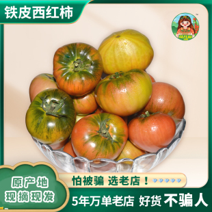 甄选果径 铁皮柿子新鲜草莓番茄丹东水果西红柿自然熟盘锦碱地