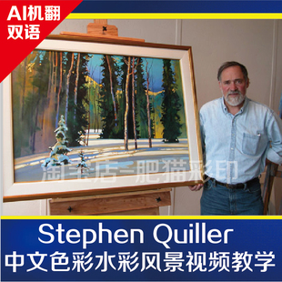 Stephen Quiller斯蒂芬奎勒水彩油画风景色彩视频中文视频教学