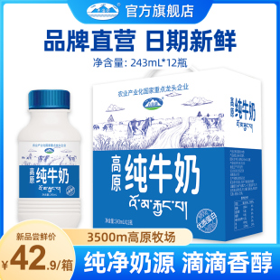 青海湖高原纯牛奶243ml 12瓶整箱优质蛋白成人学生儿童营养早餐奶