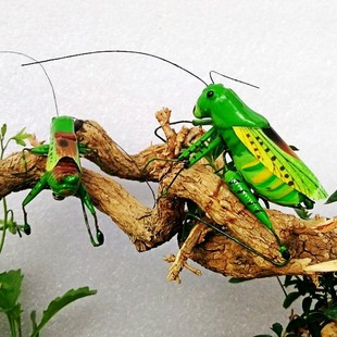 仿真昆虫甲虫摆件螳螂蝈蝈蜻蜓知了蛐蛐盆景假山绿植车载创意造景