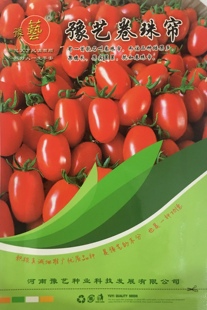 袋 1000粒 颜色红亮糖度高 豫艺卷珠帘小番茄种子 椭圆形产量高