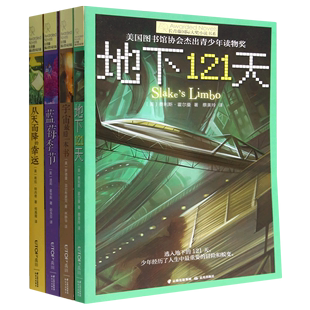 第2辑共4册 长青藤国际大奖小说书系