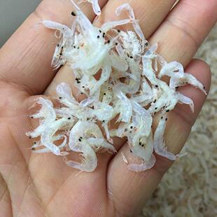 新福建淡干虾皮虾米商家馄饨用干货散装 海米无盐补钙即食500g 包邮