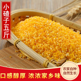 2021东北新小碴子5斤黑龙江农家自产玉米渣子粥杂粮玉米碎玉米糁