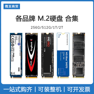 各品牌256 512G M.2 nvme固态硬盘台式 SSD 笔记本绿盘蓝盘黑盘
