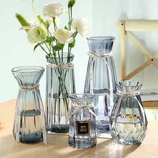 创意轻奢玻璃花瓶透明描金水养鲜花绿植客厅彩色网红花瓶摆件
