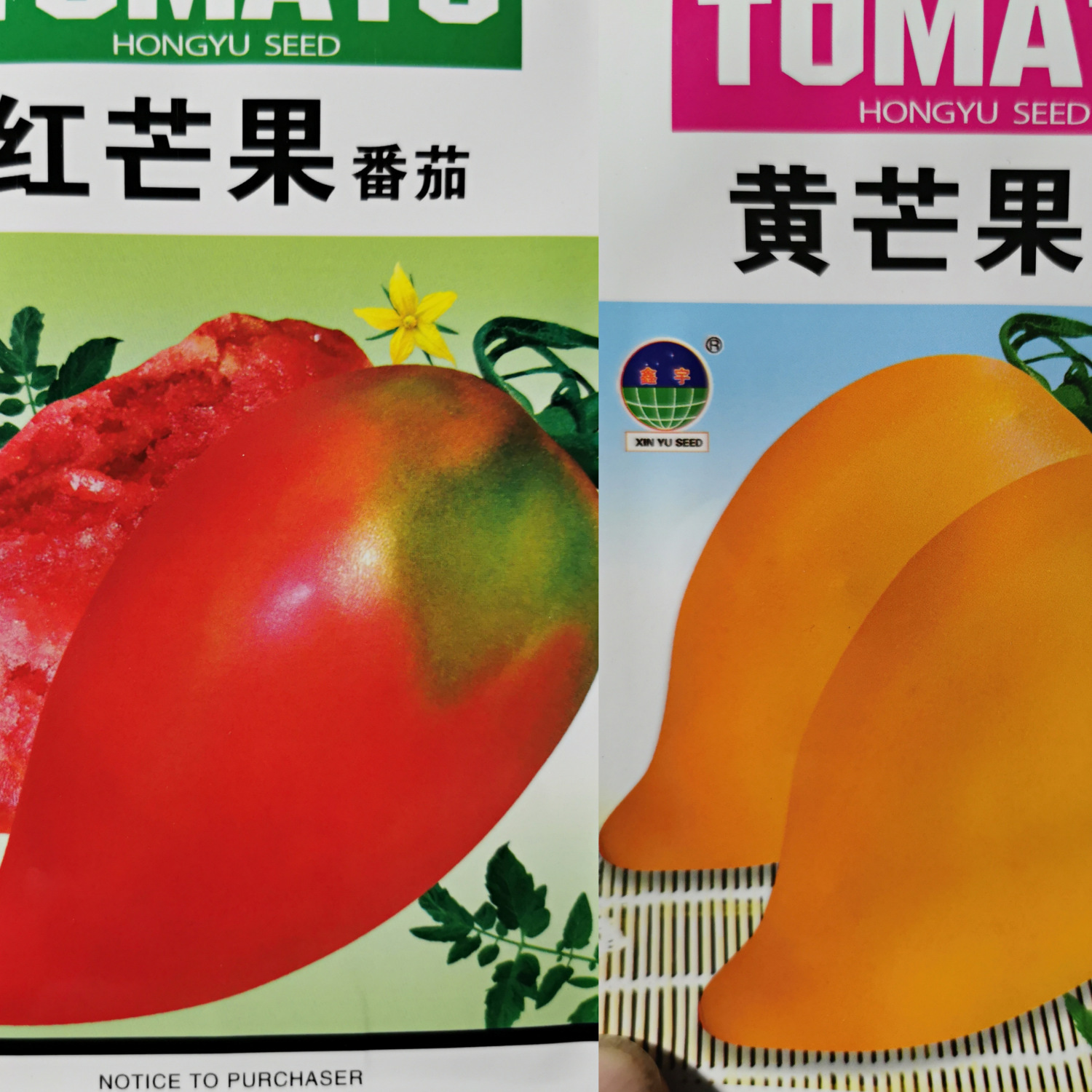 红芒果 黄芒果柿子组合 番茄种子水果四季