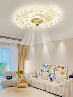 客厅吸顶风扇灯现代简约家用卧室书房灯创意星空全屋套餐组合灯具