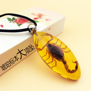 人工琥珀项链吊坠昆虫标本创意饰品蝎子儿童男女学生情侣礼品专柜
