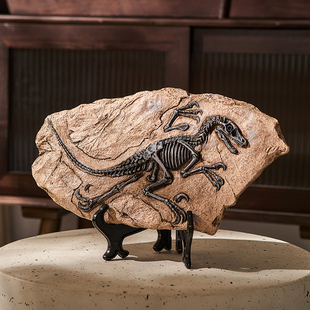 复古仿真恐龙化石模型摆件工艺品标本摆设展示柜酒柜办公室装 饰品