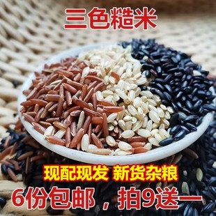 三色糙米五谷杂粮新米红米黑米糙 米糊胚芽米粗粮组合熬粥米250g