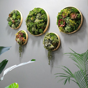 创意餐厅墙面墙体装 饰植 圆形仿真绿植框壁挂花客厅墙壁挂墙植物