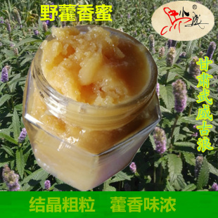 马小成野藿香蜜蜂场自产结晶野生药材蜜闻着臭吃着香密花香薷蜜
