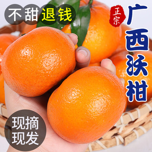 广西武鸣沃柑10斤新鲜水果当季 整箱一级沙糖蜜橘砂糖柑橘桔子橘子