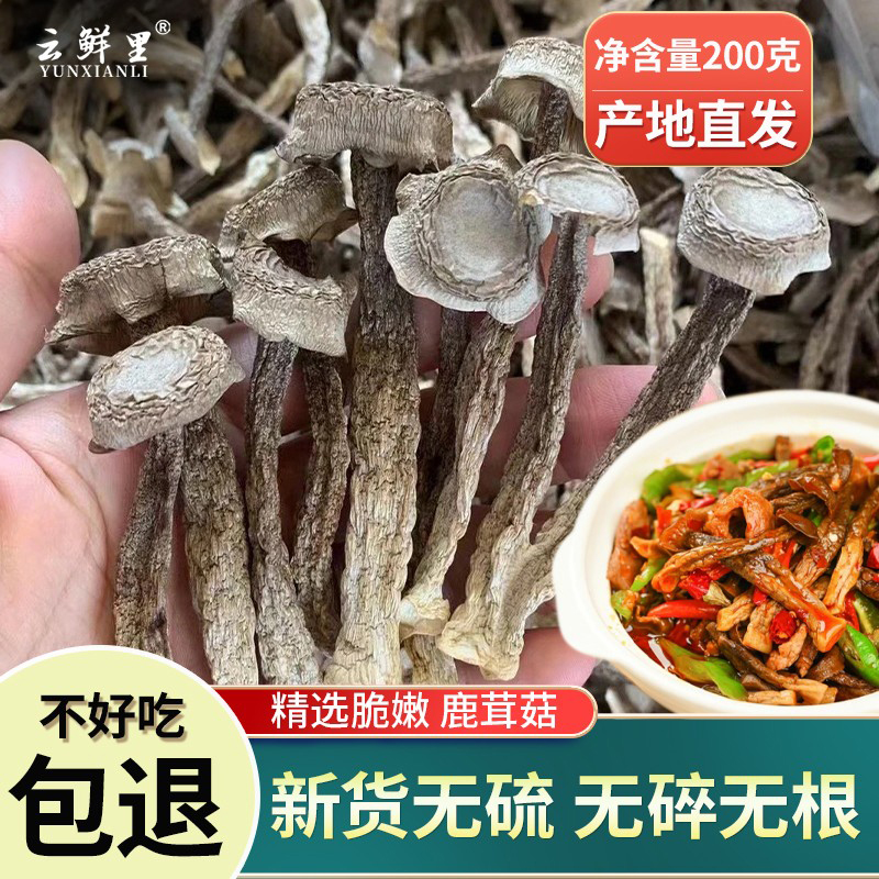 鹿茸菇脆脆菇香菇无碎干货400g鹿茸菌新鲜野生菌无熏硫煲汤食材